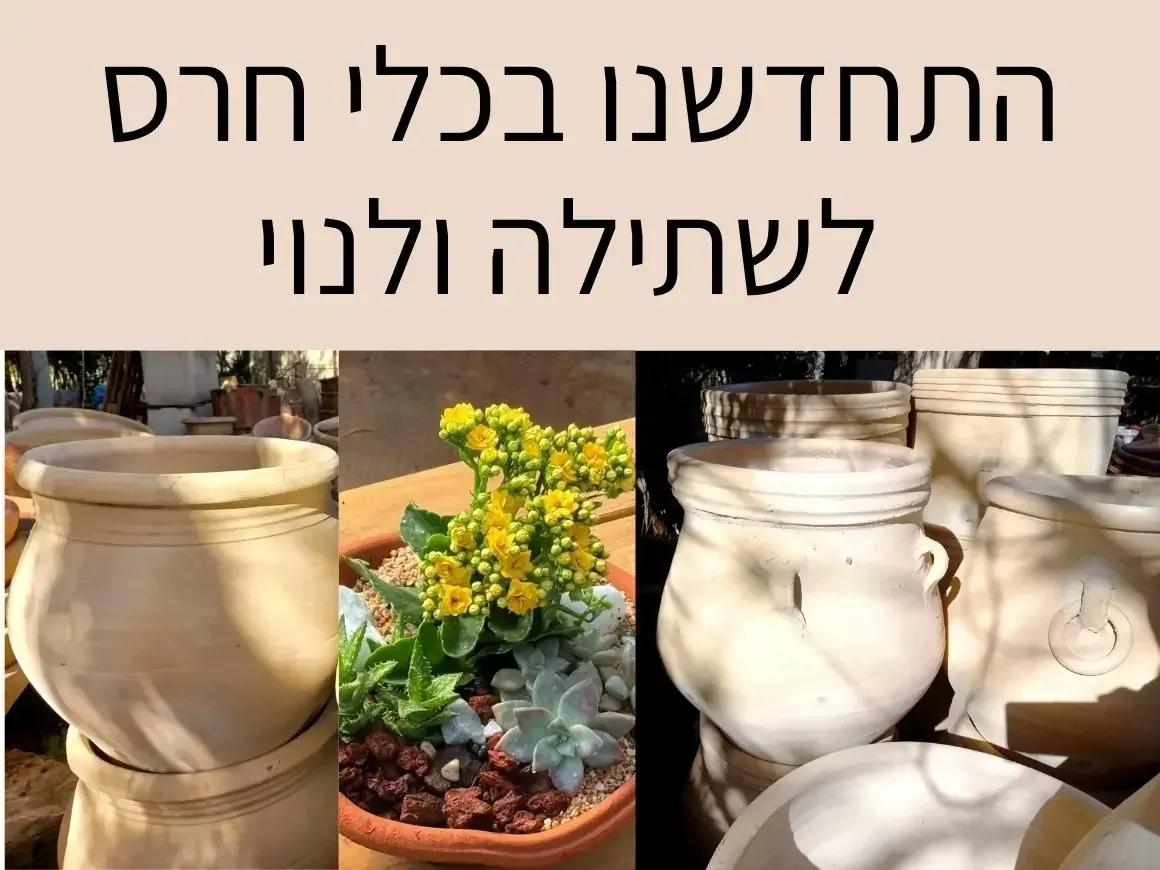 התחדשנו בכלי חרס לשתילה ולנוי