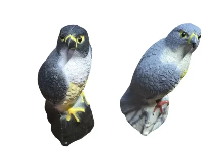 שני דגמי עיט דחליל, אחד בגווני שחור-צהוב והשני באפור-צהוב, מוצבים על רקע לבן במבט חזיתי.