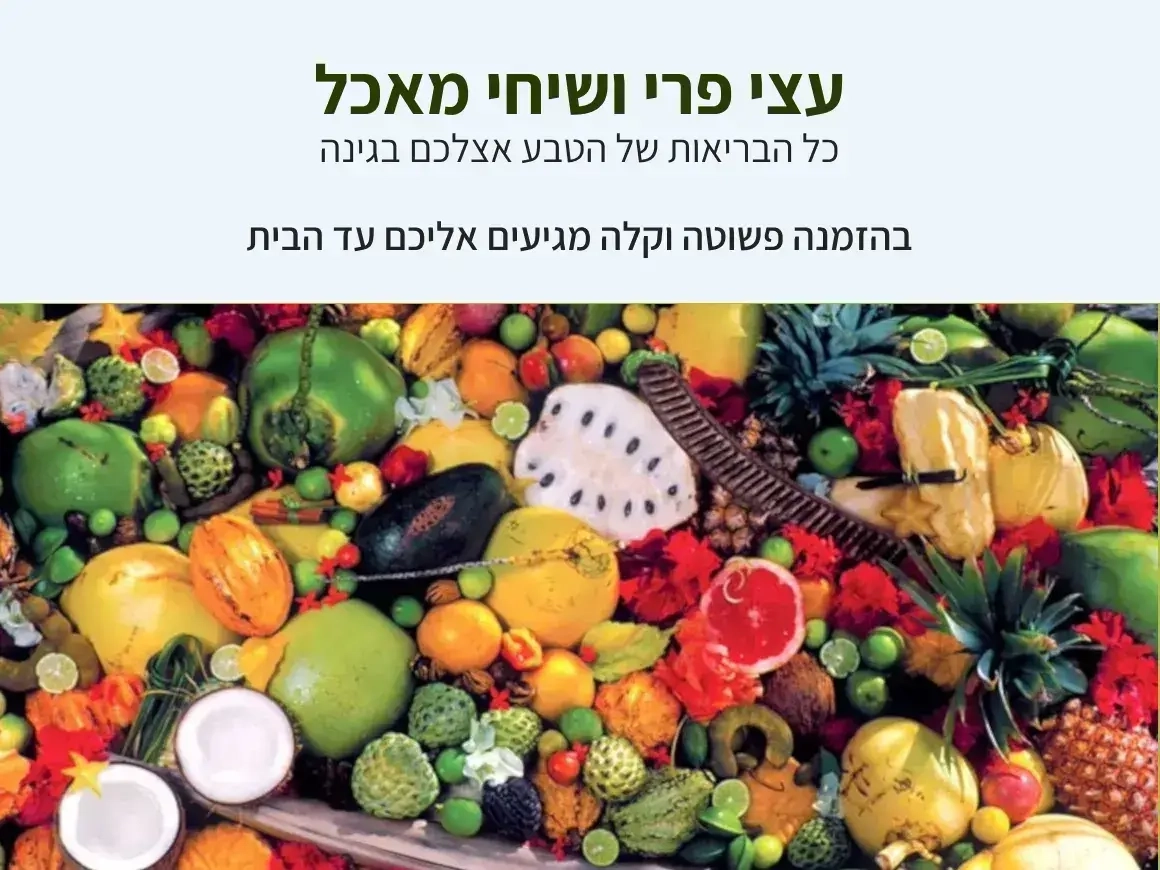 שיחי מאכל ועצי פרי 11