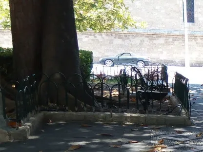 תחת עץ צל ביום לוהט ברודוס