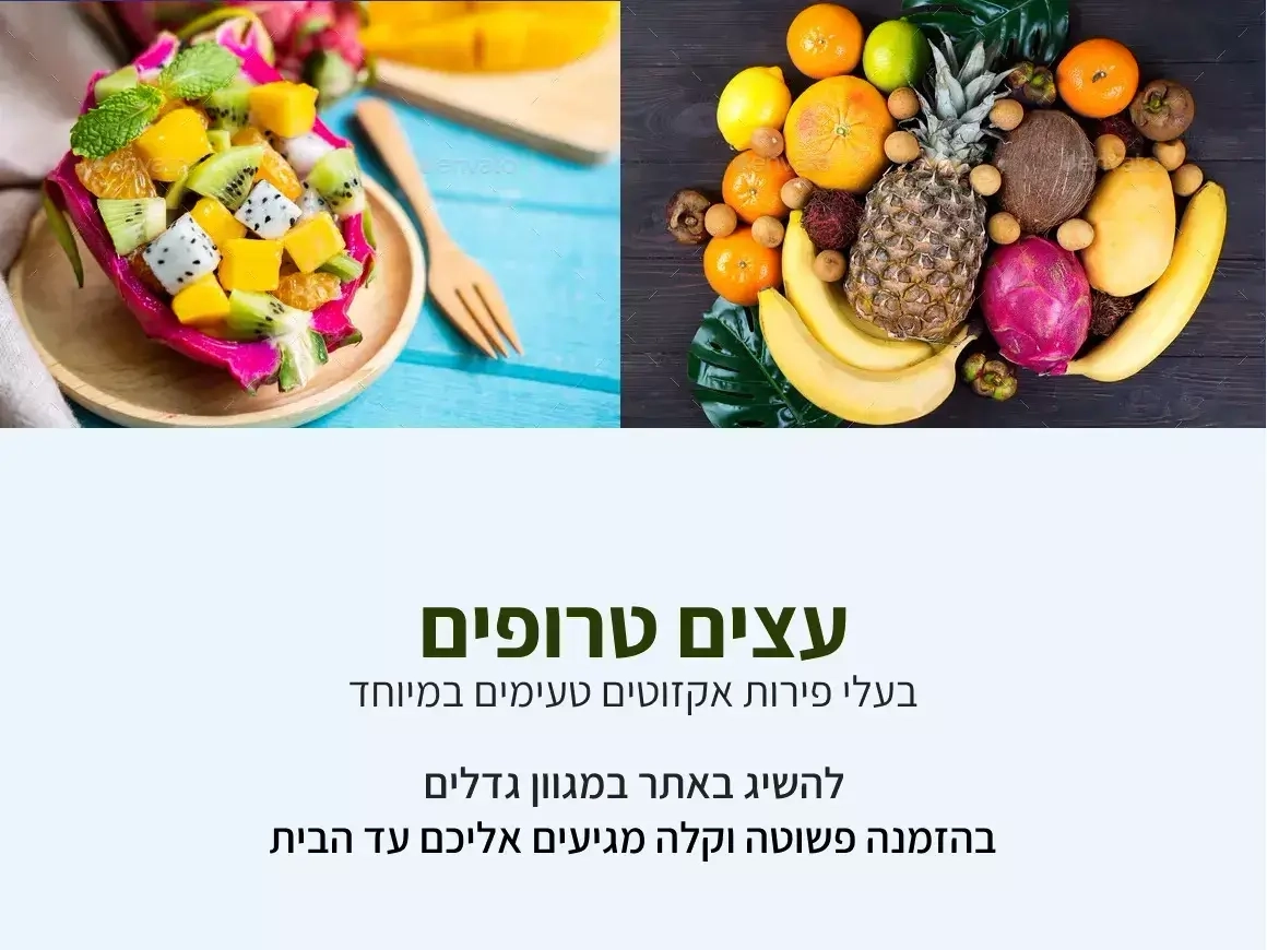 עצי פרי ונוי אקזוטיים 11