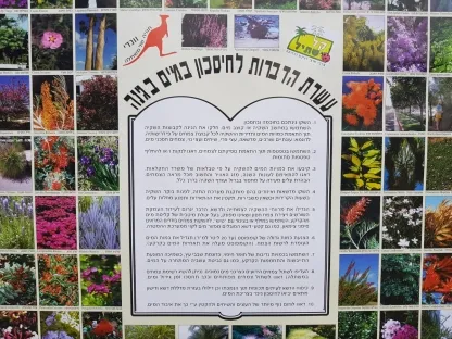 פוסטר קל שתיל