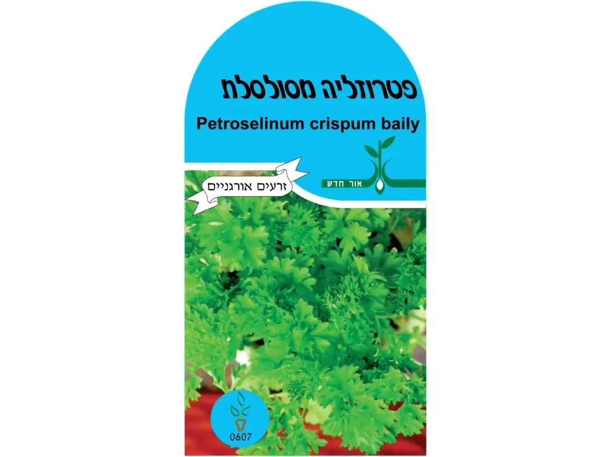 פטרוזיליה מסולסלת זרעים אורגנים