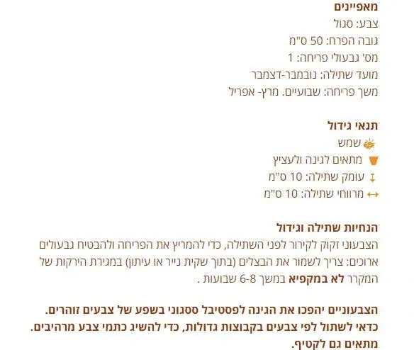 מאפייני הצבעוני הסגול