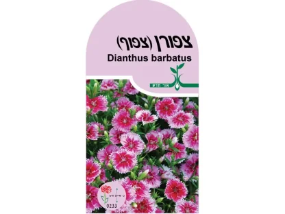 פרח ציפורן צפוף - חפיסת זרעים