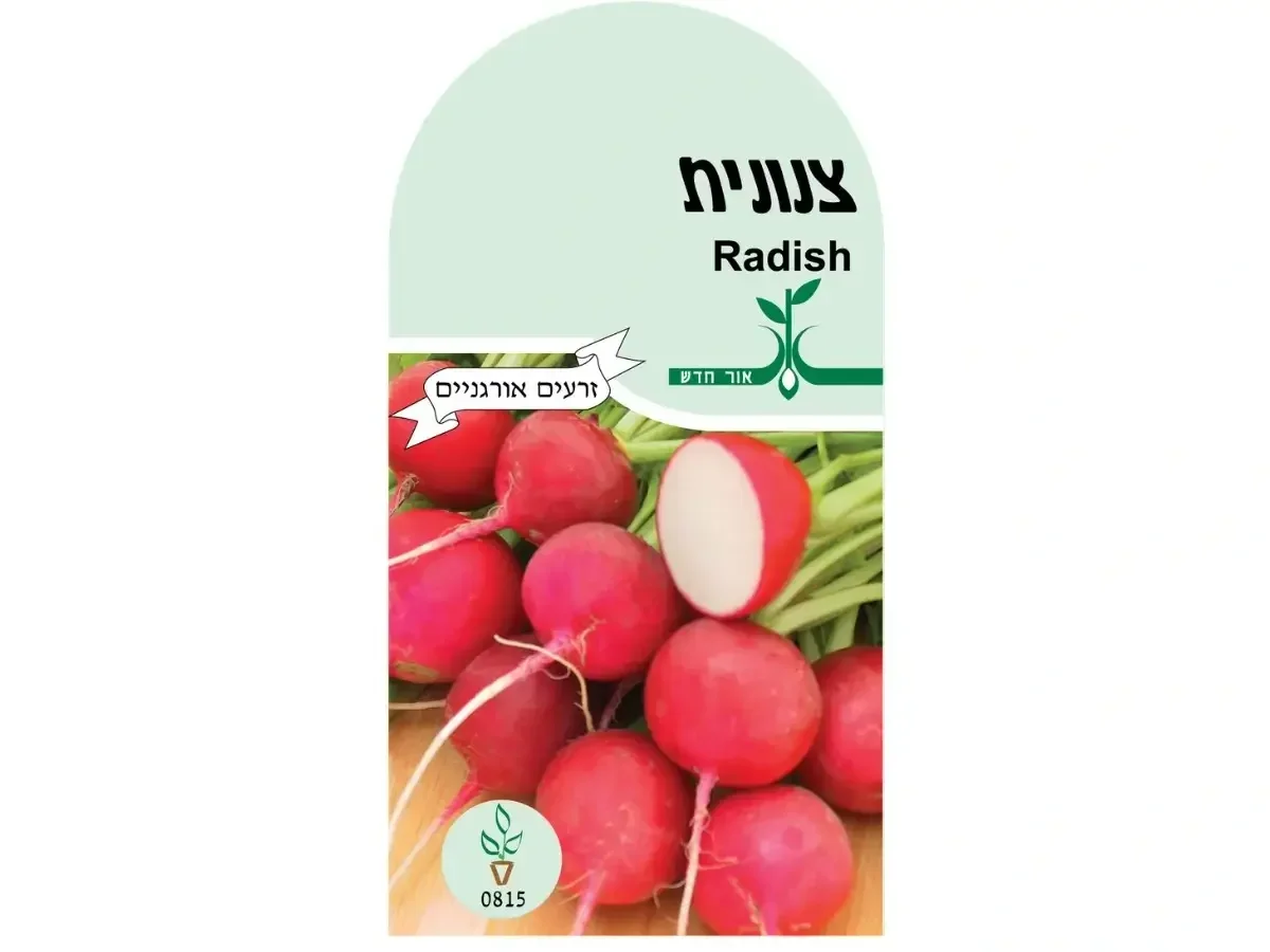 צנונית אדומה זרעים אורגנים