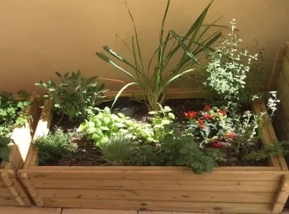 אדנית עץ לגידול ירקות