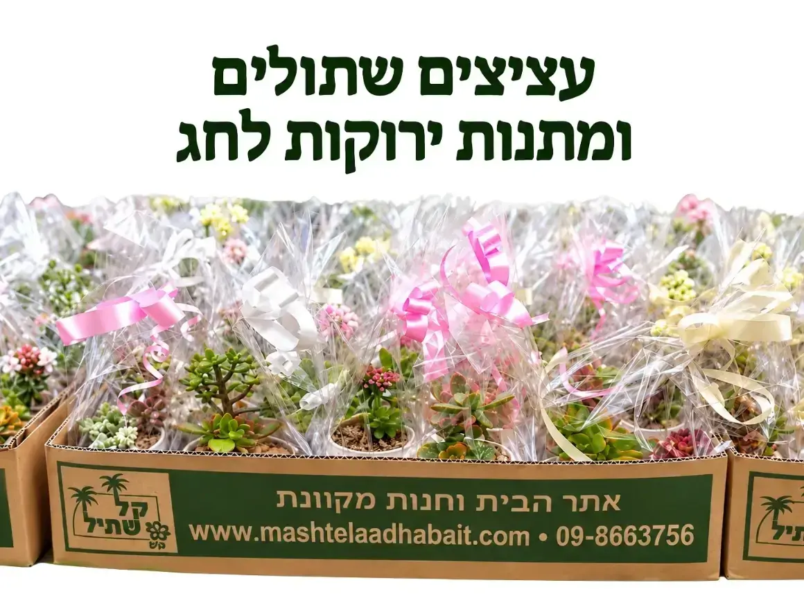 עציצים שתולים במשתלת קל שתיל בביתן אהרון ערב ראש השנה 2026