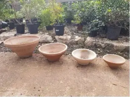 קערות חרס חברוני לשתילה