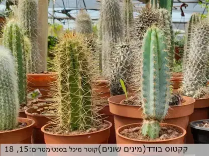 קקטוס בודד (מינים שונים) ע' 018