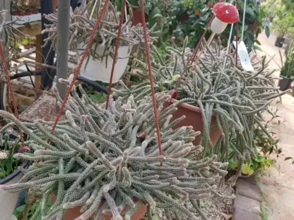 פטריה אדומה על מקל לקישוט עציצים