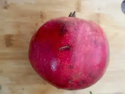 רימון מצוי `שני`