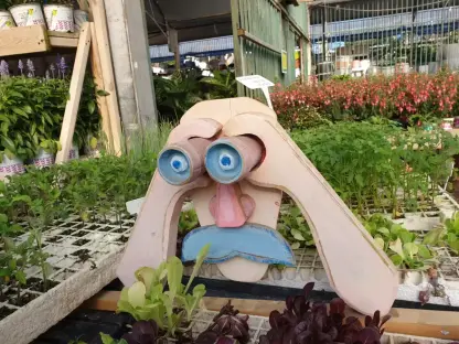 שומר החצר גובה 35 אורך 44