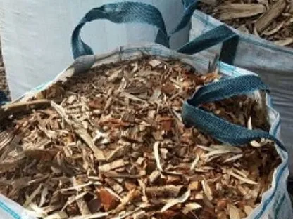 באלה, בלה, שק ריק