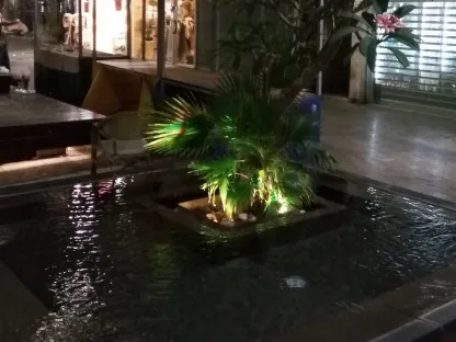 בריכת נוי מוארת בלילה בנתניה