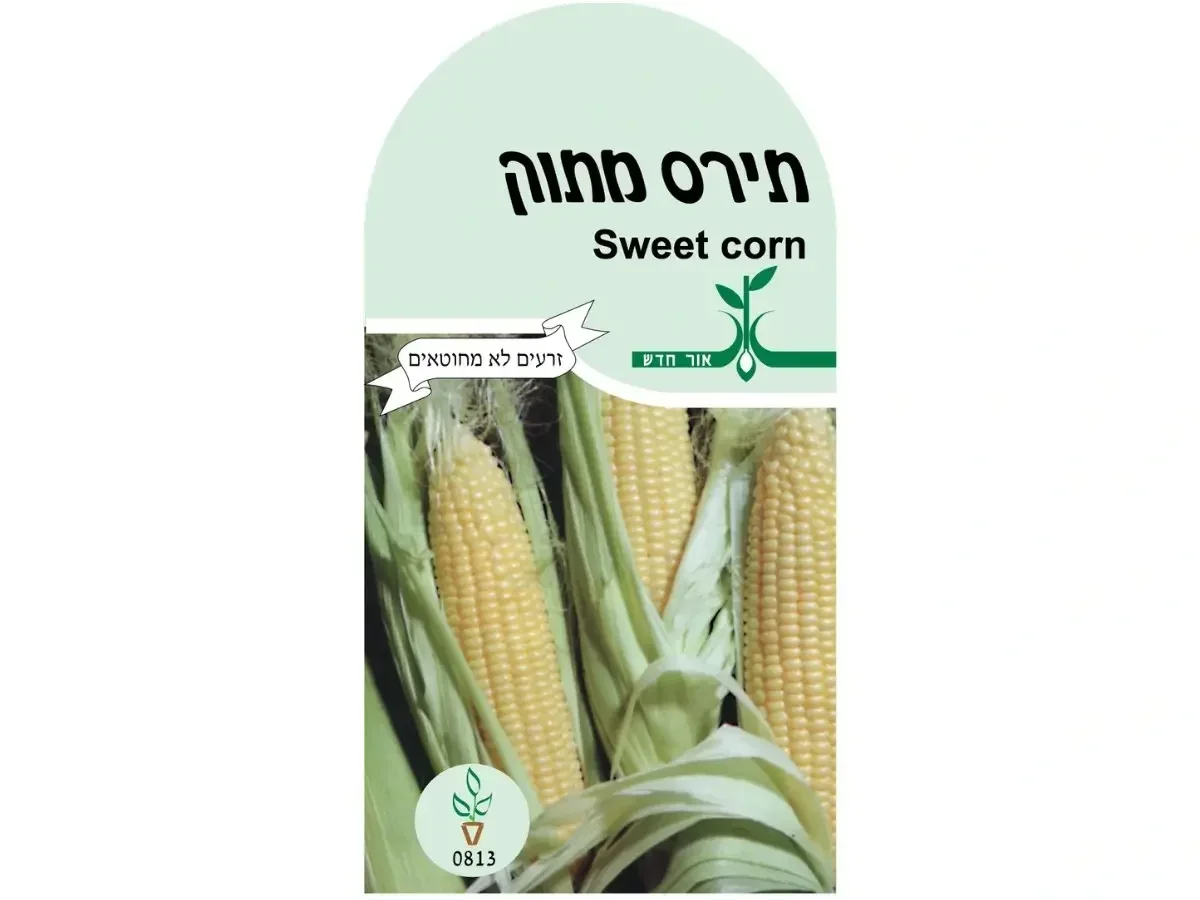 תירס מתוק זרעים אורגנים